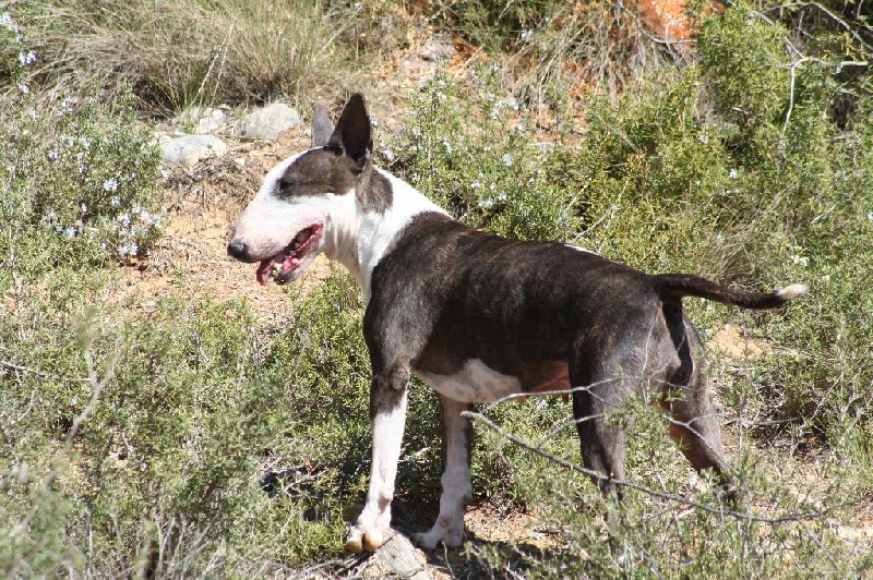 So Addictive Devil in' side