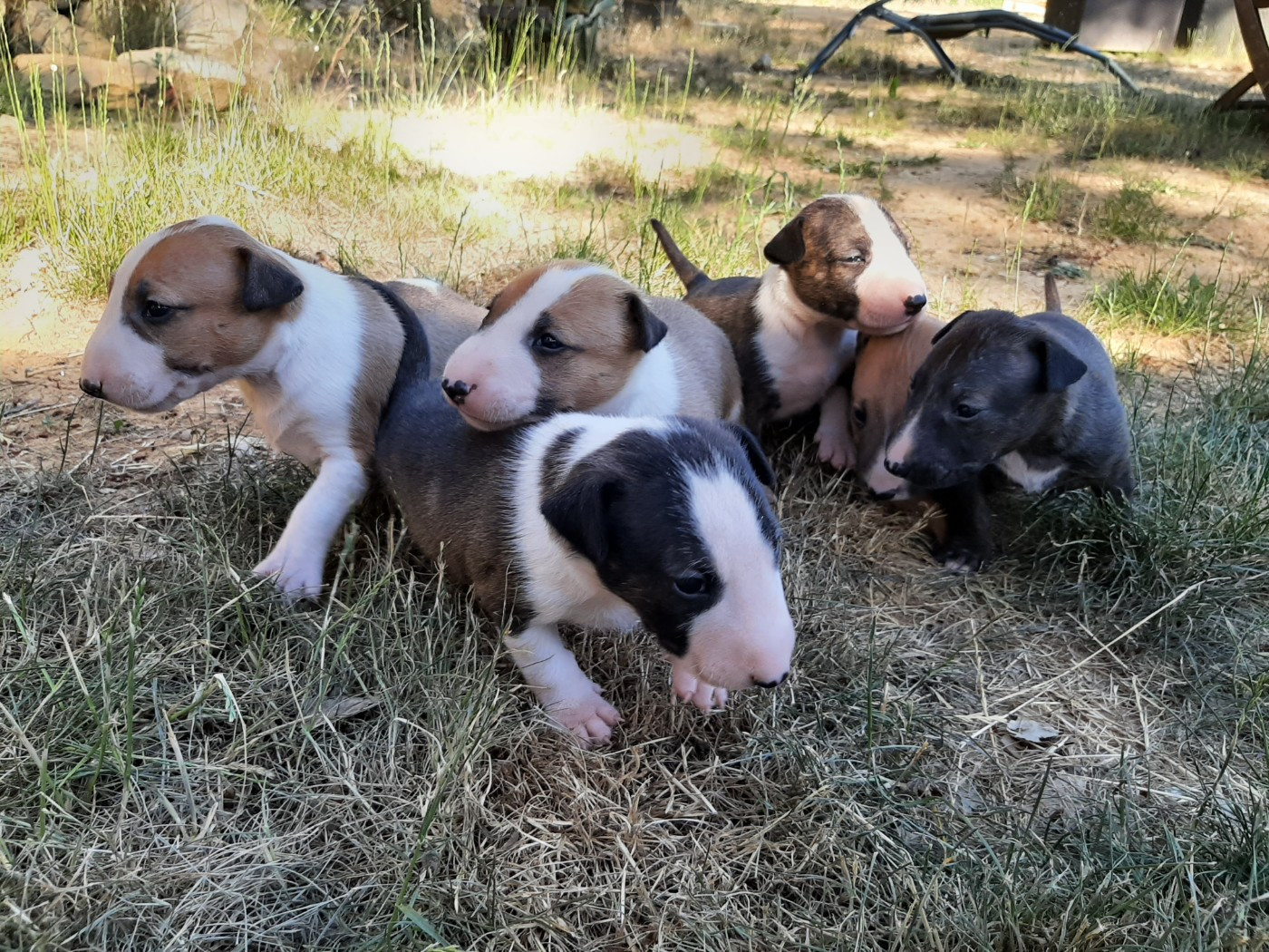 Naissances à venir pour fin Mars