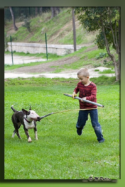 Nos Bullots et les enfants 